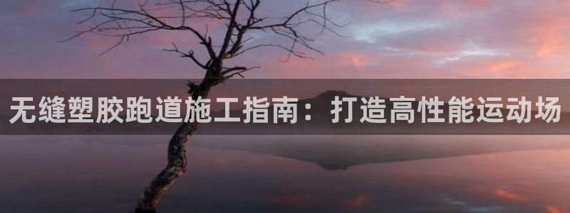 红足一1世皇冠：无缝塑胶跑道施工指南：打造高性能运动场