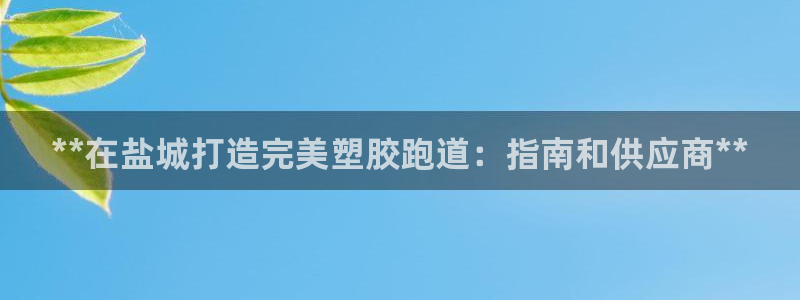 红足一比分网：**在盐城打造完美塑胶跑道：指南和供应商**