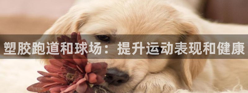 4633333开奖结果4176一点红：塑胶跑道和球场：提升运动表现和健康