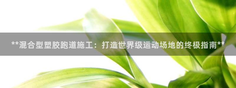 红足一生世：**混合型塑胶跑道施工：打造世界级运动场地的终极指南**