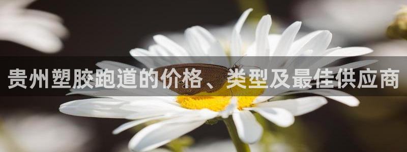777814红·足一世：贵州塑胶跑道的价格、类型及最佳供应商