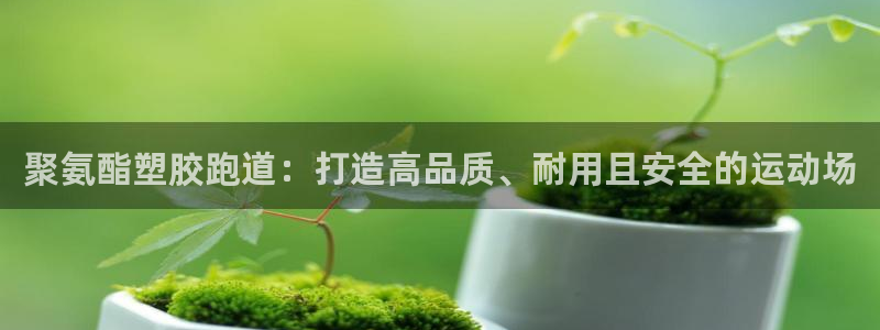 红足1世官网：聚氨酯塑胶跑道：打造高品质、耐用且安全的运动场
