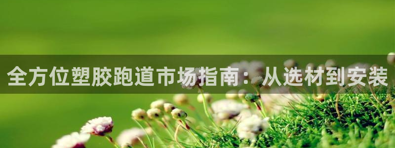 红足一丰：全方位塑胶跑道市场指南：从选材到安装