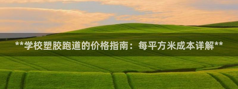 红足1世官网：**学校塑胶跑道的价格指南：每平方米成本详解**