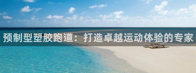 红足一1世官网：预制型塑胶跑道：打造卓越运动体验的专家