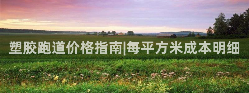333814红·足一世比分：塑胶跑道价格指南|每平方米成本明细