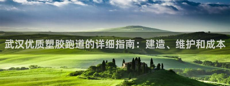 红足一一世足球网开奖记录：武汉优质塑胶跑道的详细指南：建造、维护和成本
