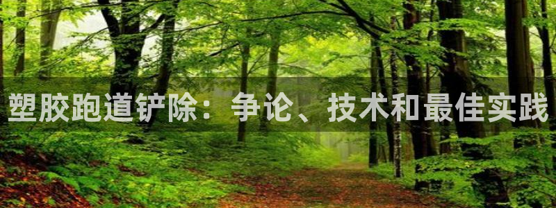 百度红足一1是什么样子的：塑胶跑道铲除：争论、技术和最佳实践