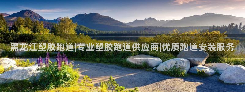 红足1世手机版下载：黑龙江塑胶跑道|专业塑胶跑道供应商|优质跑道安装服务