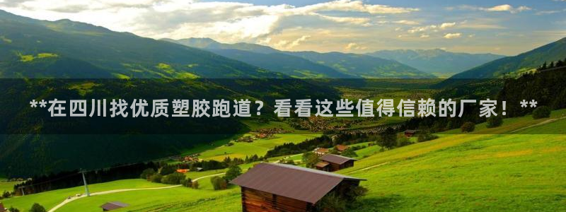红足一1世手机版新皇冠：**在四川找优质塑胶跑道？看看这些值得信赖的厂家！**