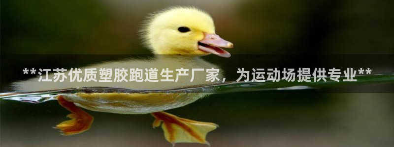 红足1世足球比分：**江苏优质塑胶跑道生产厂家，为运动场提供专业**