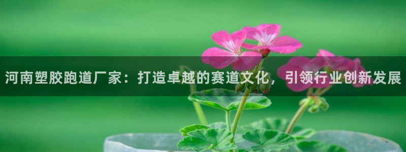 新2足球平台出租网站：河南塑胶跑道厂家：打造卓越的赛道文化，引领行业创新发展