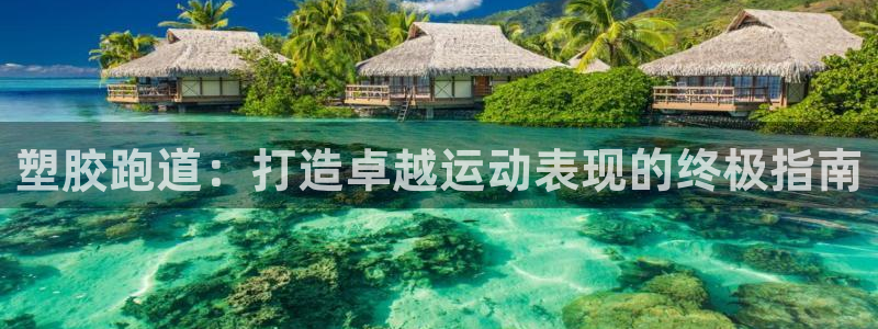 红足一1世比分球探