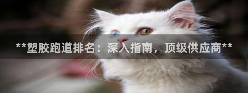 777814红·足一世比分：**塑胶跑道排名：深入指南，顶级供应商**