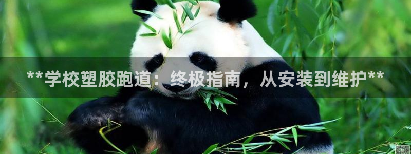 红足1一世：**学校塑胶跑道：终极指南，从安装到维护**