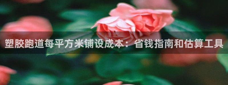 红足1世手足球比分：塑胶跑道每平方米铺设成本：省钱指南和估算工具
