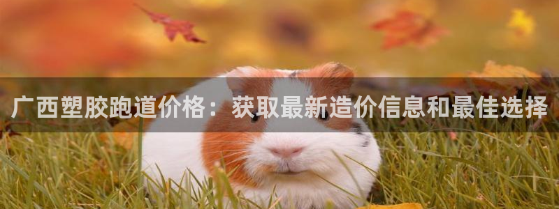 红足1一世足球手机：广西塑胶跑道价格：获取最新造价信息和最佳选择