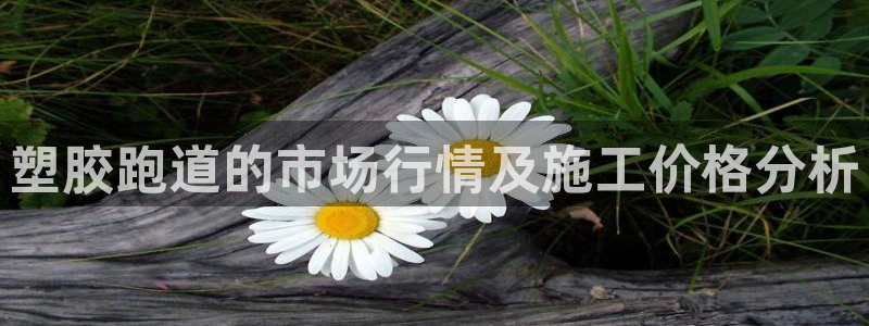 红足足球网：塑胶跑道的市场行情及施工价格分析