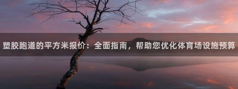 红足一比分网：塑胶跑道的平方米报价：全面指南，帮助您优化体育场设施预算