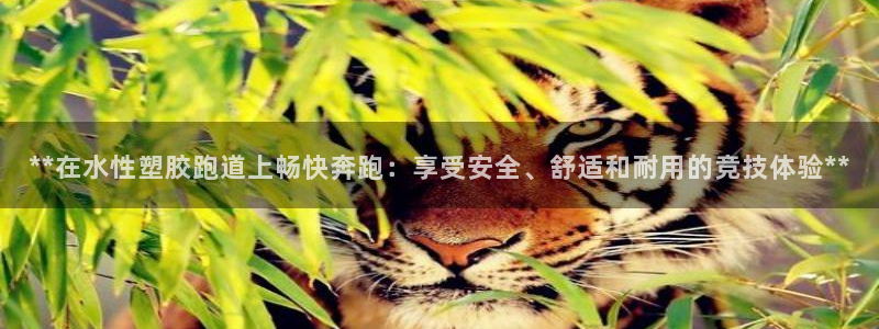 红足i世足球手机网：**在水性塑胶跑道上畅快奔跑：享受安全、舒适和耐用的竞技体验**