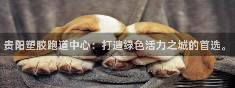 红足一1世官网足球推荐真人：贵阳塑胶跑道中心：打造绿色活力之城的首选。