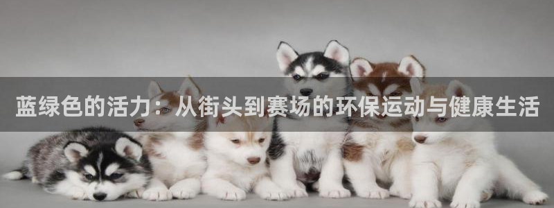 新2足球平台出租网站：蓝绿色的活力：从街头到赛场的环保运动与健康生活