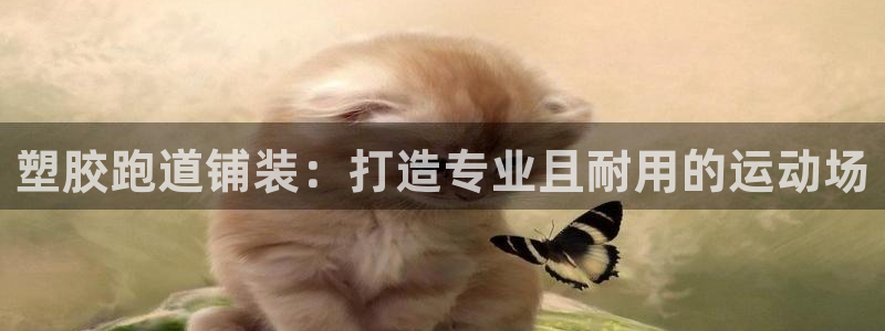 红足一1世即时比分