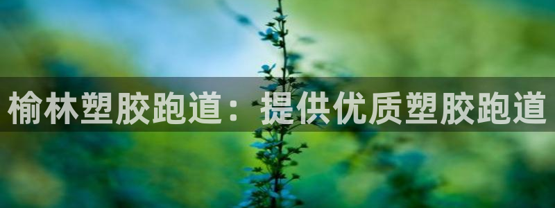 77814红足1世：榆林塑胶跑道：提供优质塑胶跑道