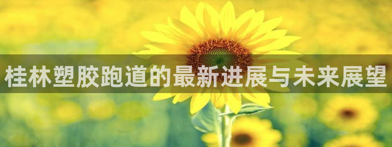 777814红·足一世比分篮球：桂林塑胶跑道的最新进展与未来展望