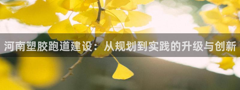 百度红足一1使用说明：河南塑胶跑道建设：从规划到实践的升级与创新
