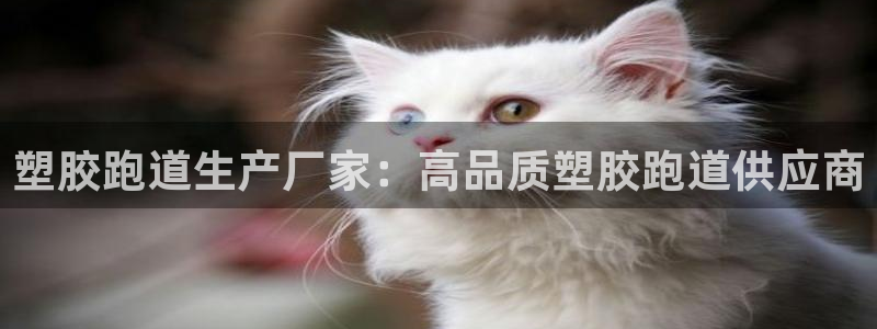 红足一1世比分：塑胶跑道生产厂家：高品质塑胶跑道供应商