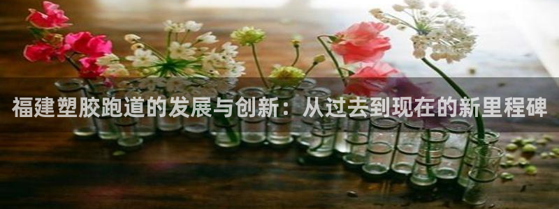 红足足球网：福建塑胶跑道的发展与创新：从过去到现在的新里程碑
