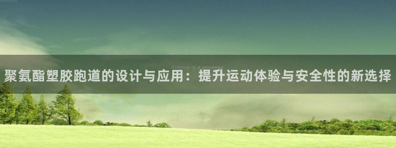 红足1世开奖预测：聚氨酯塑胶跑道的设计与应用：提升运动体验与安全性的新选择