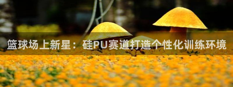 百度红足一1是干什么的：篮球场上新星：硅PU赛道打造个性化训练环境