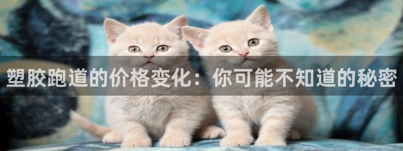 红足一1世官网足球推荐真人：塑胶跑道的价格变化：你可能不知道的秘密