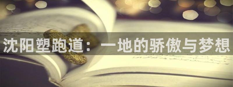 红足一1世手机版赛果：沈阳塑跑道：一地的骄傲与梦想