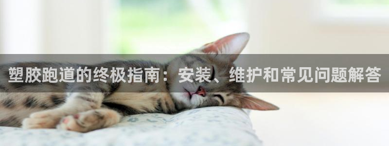 百度红足一1世：塑胶跑道的终极指南：安装、维护和常见问题解答