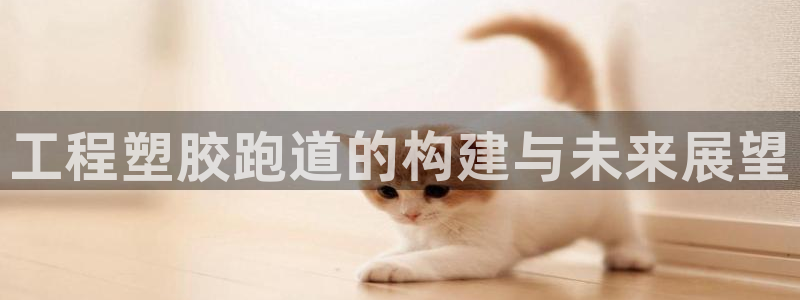 红足1世足球比分：工程塑胶跑道的构建与未来展望