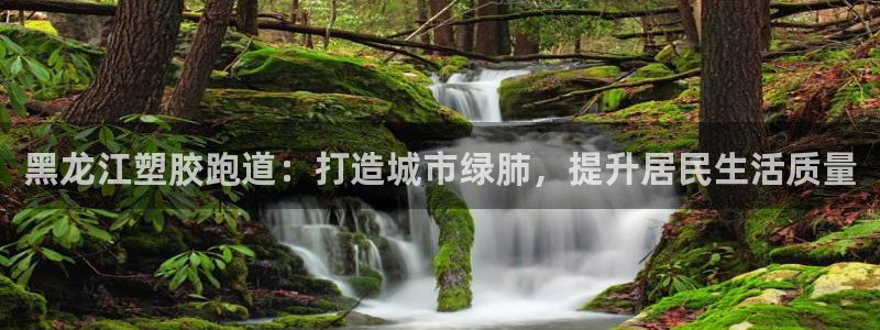 红姐现场直播开奖记录：黑龙江塑胶跑道：打造城市绿肺，提升居民生活质量