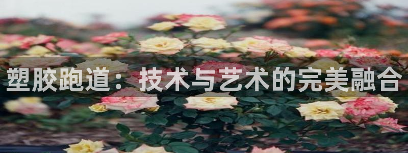 红足一1世手机版赛果：塑胶跑道：技术与艺术的完美融合