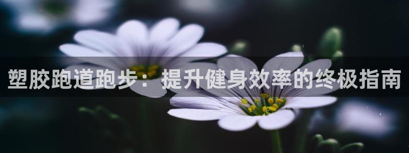 666814红·足一世比分：塑胶跑道跑步：提升健身效率的终极指南