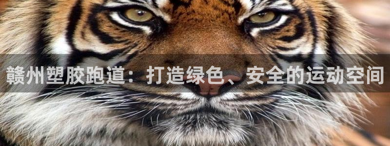 333814红足1世：赣州塑胶跑道：打造绿色、安全的运动空间