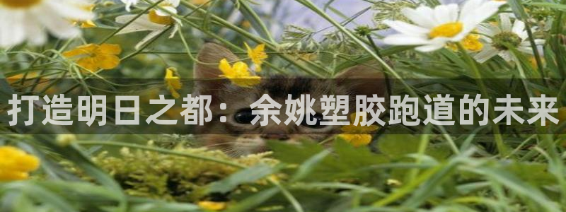 777814红·足一世比分：打造明日之都：余姚塑胶跑道的未来