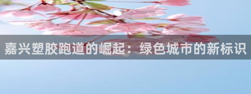 红足一1世官网：嘉兴塑胶跑道的崛起：绿色城市的新标识