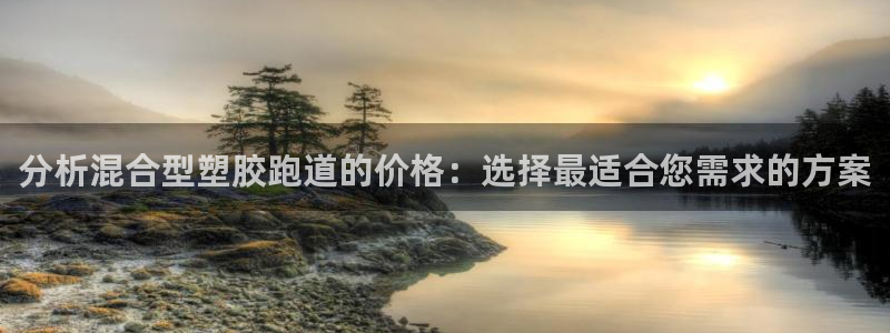 66814红足：分析混合型塑胶跑道的价格：选择最适合您需求的方案