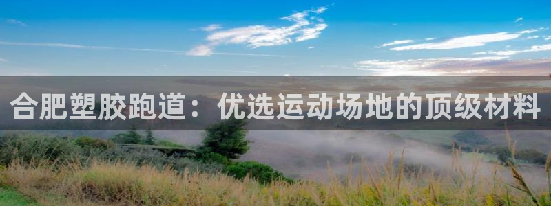红足1世1站2站管理网：合肥塑胶跑道：优选运动场地的顶级材料
