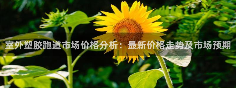 红足网足球直播：室外塑胶跑道市场价格分析：最新价格走势及市场预期