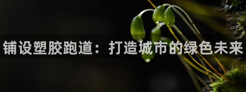 百度红足一1是为什么：铺设塑胶跑道：打造城市的绿色未来