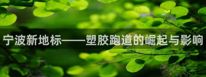 红足1一世足球手机：宁波新地标——塑胶跑道的崛起与影响