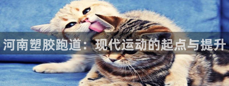 红足1世足球网址：河南塑胶跑道：现代运动的起点与提升